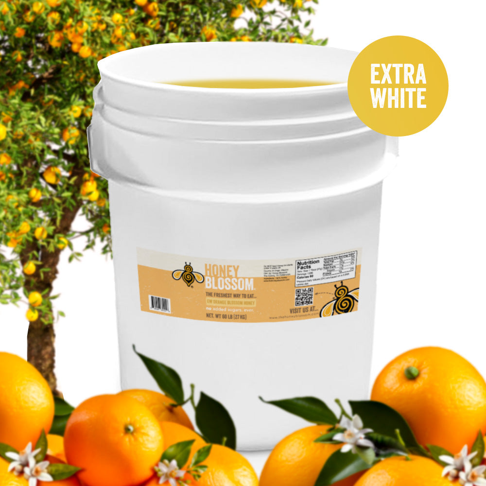 Orange Blossom Honey (Extra White) 60-lb Bucket – Bulk