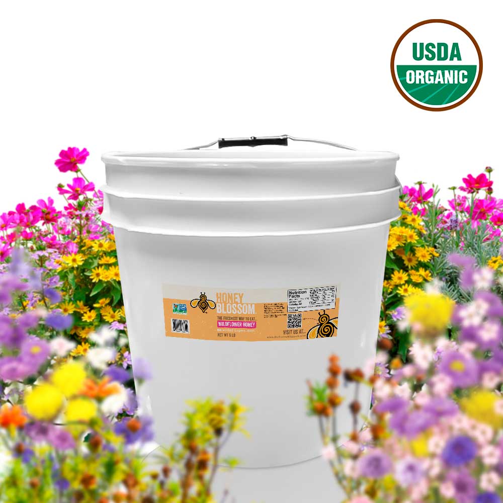 Organic Light Amber Wildflower Honey - 12 lb Bucket