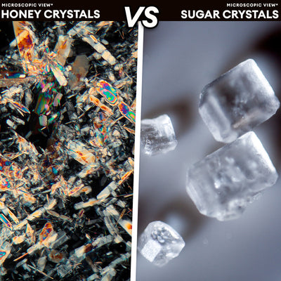 Honey Crystals vs Sugar Crystals
