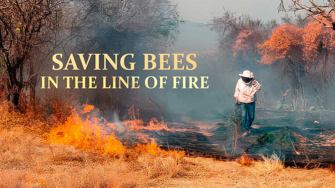 Wildfire burning through dry vegetation as a beekeeper walks through smoke and scorched terrain, illustrating efforts to protect bee colonies during an active fire emergency. Text overlay reads “Saving Bees in the Line of Fire.”