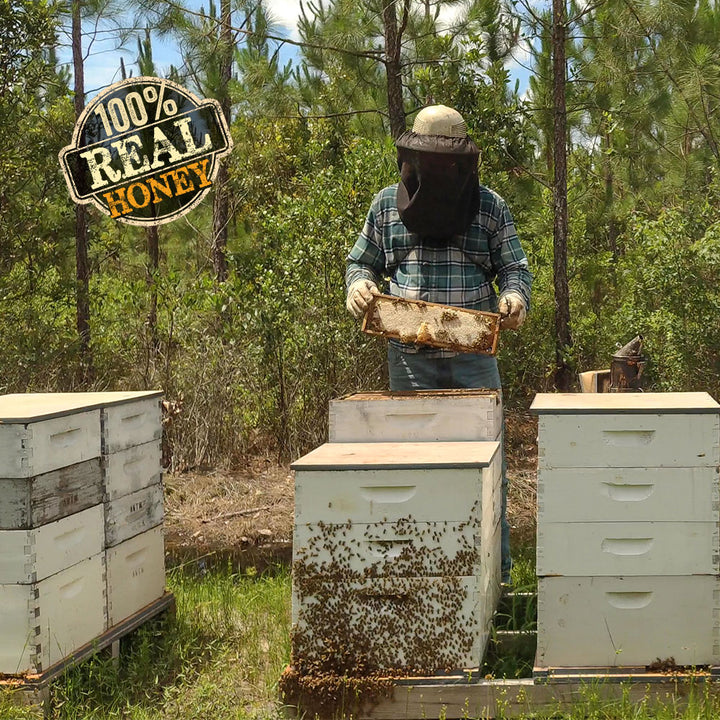 Beekeeper showing to the camera a honeycomb frame from the hive