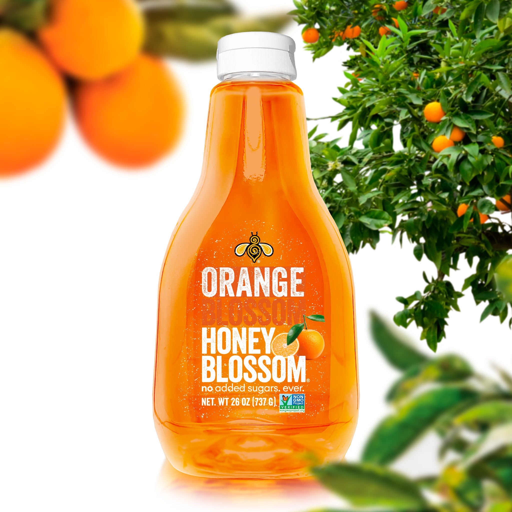 Honey Blossom - Orange Blossom Honey - 12-Pack with 26 oz each – Honey ...