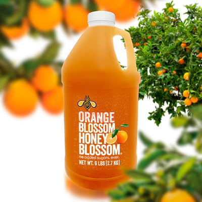 A gallon of orange blossom honey surrounded by orange trees