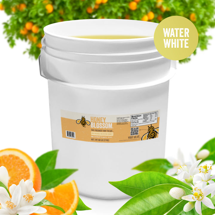 Orange Blossom Honey (Water White) 60-lb Bucket