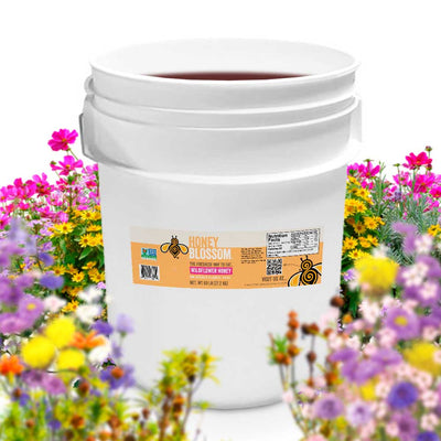 Dark Wildflower Honey - 60 lb Bucket