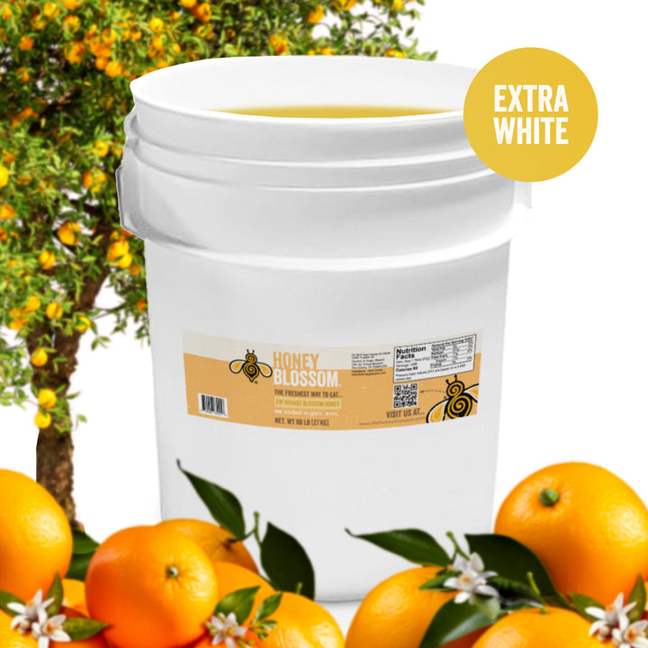 Orange Blossom Honey (Extra White) 60-lb Bucket