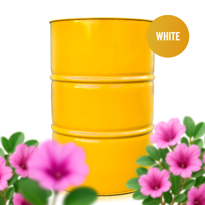 Campanita Honey (White) 661-lb Drum