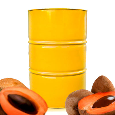 Mamey Sapote Honey - 661 lbs Drum