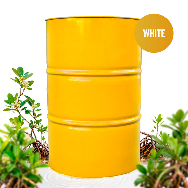Mangrove Honey (White) 661-lb Drum