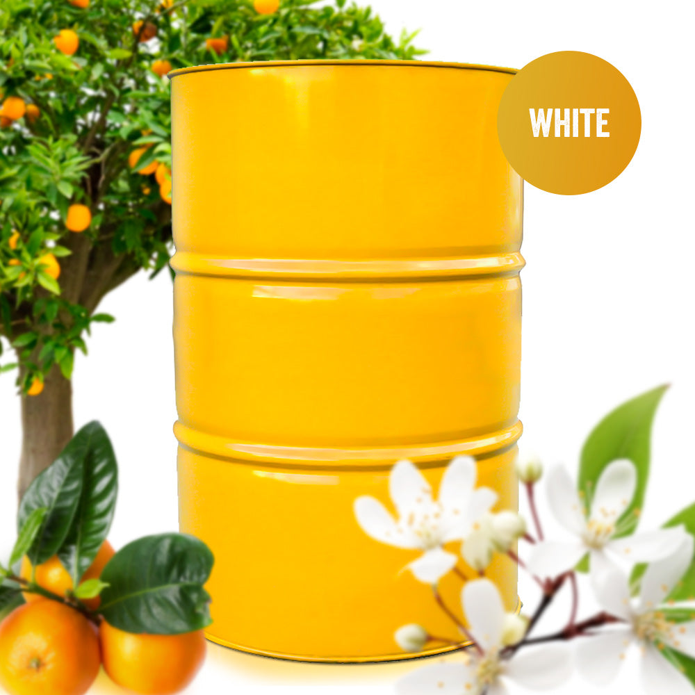 Orange Blossom Honey (White) 661 lbs Drum