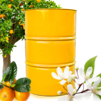 White Orange Blossom Honey - 661 lbs Drum