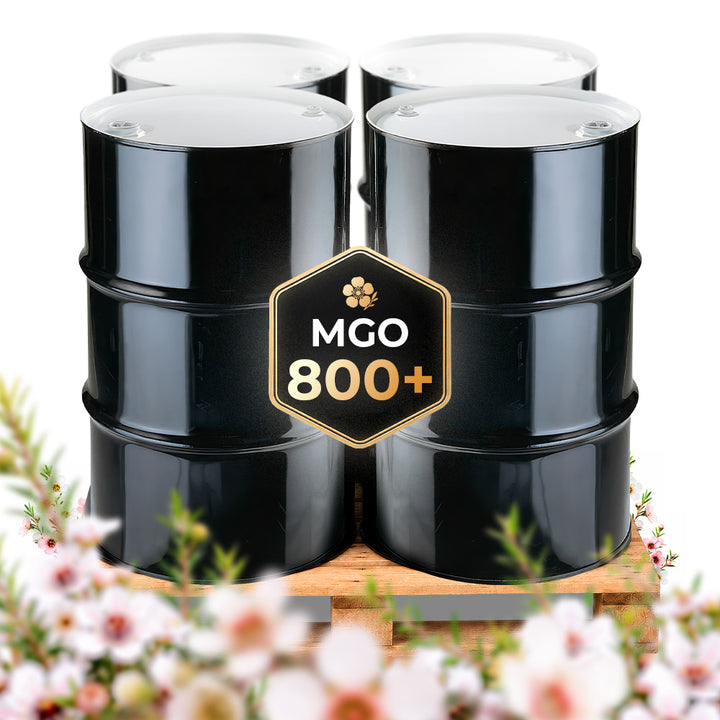 New Zealand MGO 800+ Monofloral Manuka Honey | 4 Drum Pallet