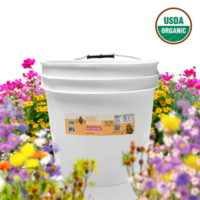 Organic Light Amber Wildflower Honey - 12 lbs Bucket