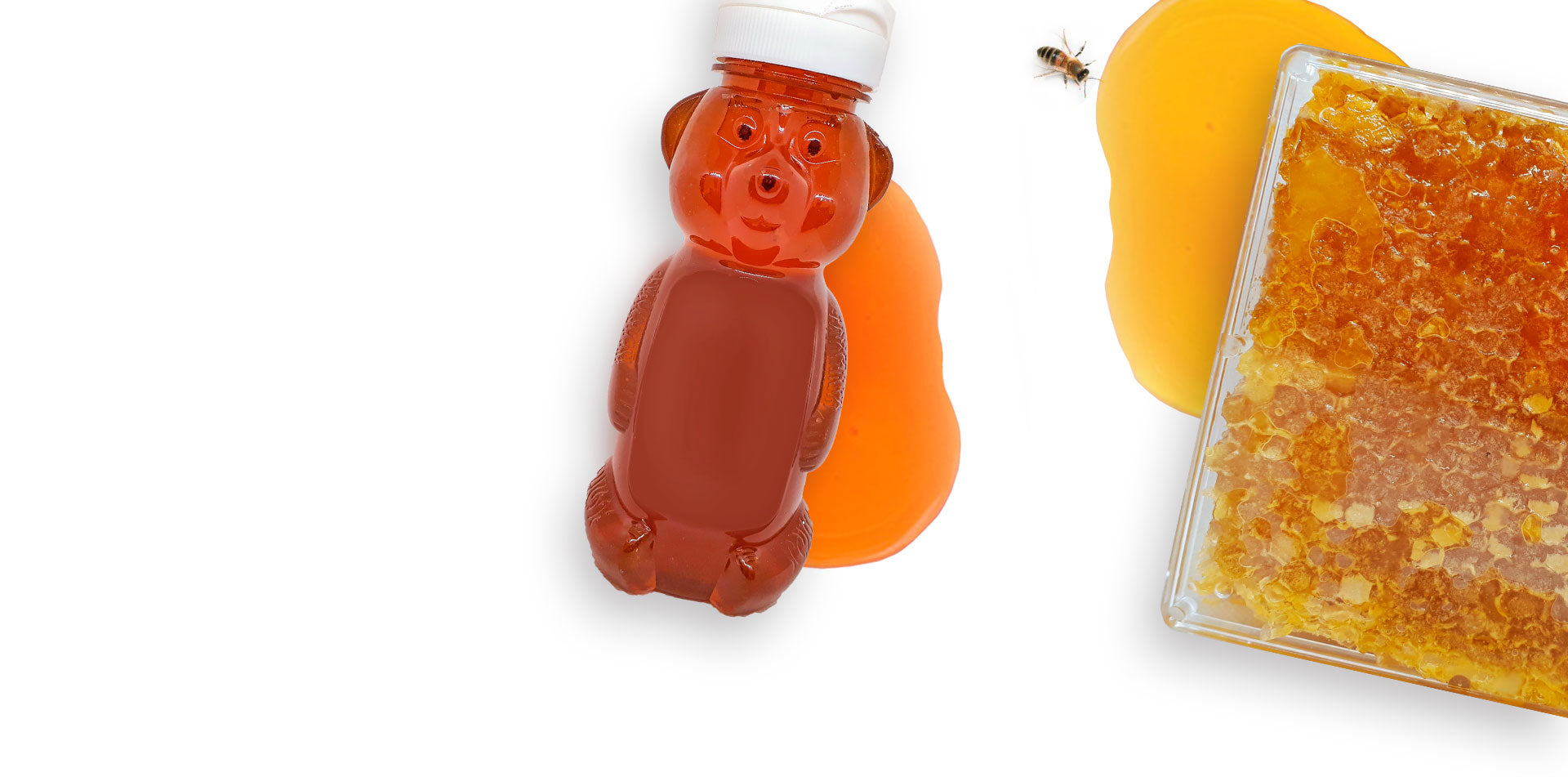 a boxed honeycomb and a bear-shaped bottle with honey, honey spilled underneath them and a bee drinking honey