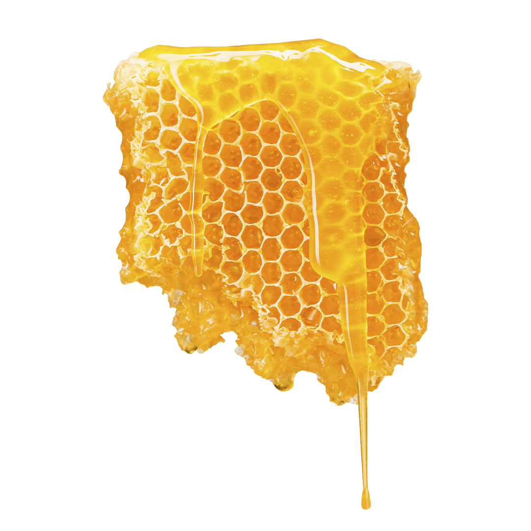 Honeycomb filled with pure golden honey, showcasing its natural texture, rich color and raw, authentic character.