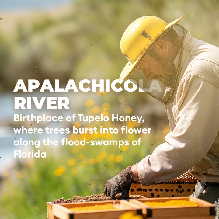Tupelo Honey (White) 661-lb Drum