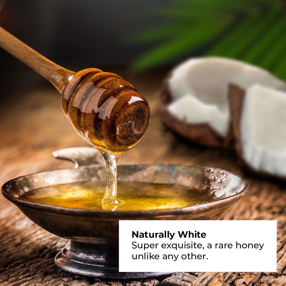 ✨ Coconut Honey (White) 60 lbs Bucket