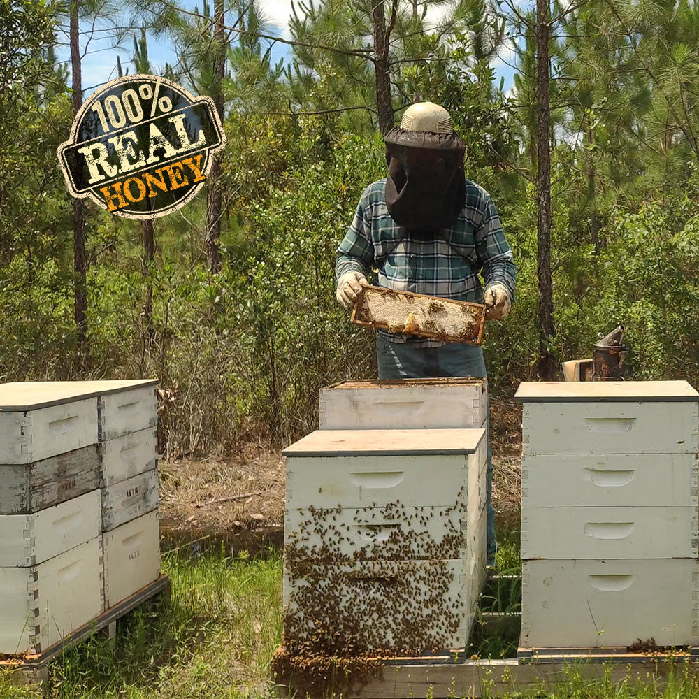 a beekeeper with hives around him, showing a frame of honeycomb to the camera