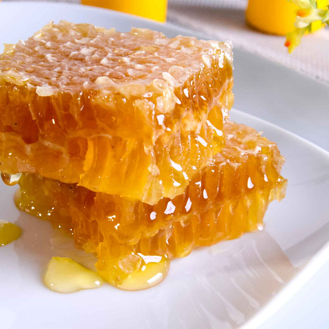 2 honeycombs dripping honey on a white plate